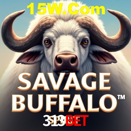 Descubra a Essência do 313Bet: Nossa História e Compromissos