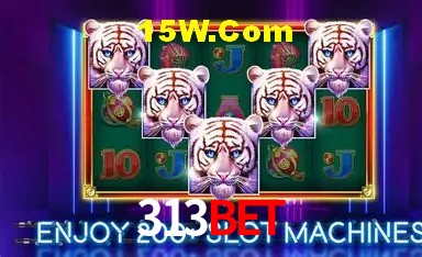 Casino Ao Vivo 313Bet