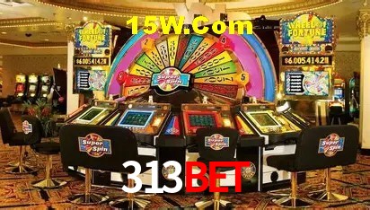 Bonus Features 313Bet