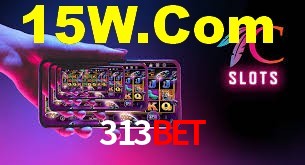 Daily Bonuses 313Bet