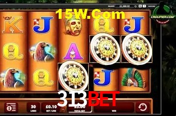 Security Systems 313Bet